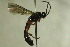  ( - CollHH699)  @12 [ ] Creative Commons  Attribution Non-Commercial Share-Alike (2018) Hakon Haraldseide Unspecified