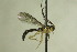  ( - CollHH708)  @11 [ ] Creative Commons  Attribution Non-Commercial Share-Alike (2018) Hakon Haraldseide Unspecified