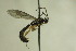  ( - CollHH713)  @11 [ ] Creative Commons  Attribution Non-Commercial Share-Alike (2018) Hakon Haraldseide Unspecified