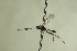  ( - CollHH725)  @12 [ ] Creative Commons  Attribution Non-Commercial Share-Alike (2018) Hakon Haraldseide Unspecified