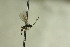  ( - CollHH768)  @12 [ ] Creative Commons  Attribution Non-Commercial Share-Alike (2018) Hakon Haraldseide Unspecified