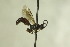  ( - CollHH784)  @13 [ ] Creative Commons  Attribution Non-Commercial Share-Alike (2018) Hakon Haraldseide Unspecified
