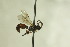  ( - CollHH785)  @13 [ ] Creative Commons  Attribution Non-Commercial Share-Alike (2018) Hakon Haraldseide Unspecified