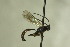  ( - CollHH786)  @13 [ ] Creative Commons  Attribution Non-Commercial Share-Alike (2018) Hakon Haraldseide Unspecified