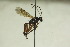  ( - CollHH810)  @14 [ ] Creative Commons  Attribution Non-Commercial Share-Alike (2018) Hakon Haraldseide Unspecified