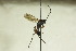  ( - CollHH815)  @12 [ ] Creative Commons  Attribution Non-Commercial Share-Alike (2018) Hakon Haraldseide Unspecified
