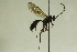  ( - CollHH855)  @11 [ ] Creative Commons  Attribution Non-Commercial Share-Alike (2018) Hakon Haraldseide Unspecified