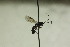  ( - CollHH856)  @12 [ ] Creative Commons  Attribution Non-Commercial Share-Alike (2018) Hakon Haraldseide Unspecified