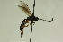  ( - CollHH858)  @13 [ ] Creative Commons  Attribution Non-Commercial Share-Alike (2018) Hakon Haraldseide Unspecified