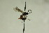  ( - CollHH859)  @12 [ ] Creative Commons  Attribution Non-Commercial Share-Alike (2018) Hakon Haraldseide Unspecified