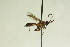  ( - CollHH860)  @13 [ ] Creative Commons  Attribution Non-Commercial Share-Alike (2018) Hakon Haraldseide Unspecified