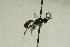  ( - CollHH869)  @13 [ ] Creative Commons  Attribution Non-Commercial Share-Alike (2018) Hakon Haraldseide Unspecified