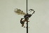  ( - CollHH880)  @12 [ ] Creative Commons  Attribution Non-Commercial Share-Alike (2018) Hakon Haraldseide Unspecified