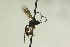  ( - CollHH881)  @11 [ ] Creative Commons  Attribution Non-Commercial Share-Alike (2018) Hakon Haraldseide Unspecified