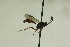  ( - CollHH893)  @13 [ ] Creative Commons  Attribution Non-Commercial Share-Alike (2018) Hakon Haraldseide Unspecified