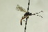  ( - CollHH894)  @13 [ ] Creative Commons  Attribution Non-Commercial Share-Alike (2018) Hakon Haraldseide Unspecified