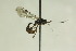  ( - CollHH901)  @12 [ ] Creative Commons  Attribution Non-Commercial Share-Alike (2018) Hakon Haraldseide Unspecified