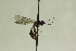  ( - CollHH905)  @12 [ ] Creative Commons  Attribution Non-Commercial Share-Alike (2018) Hakon Haraldseide Unspecified