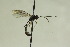  ( - CollHH907)  @12 [ ] Creative Commons  Attribution Non-Commercial Share-Alike (2018) Hakon Haraldseide Unspecified