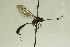  ( - CollHH908)  @12 [ ] Creative Commons  Attribution Non-Commercial Share-Alike (2018) Hakon Haraldseide Unspecified