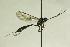 ( - CollHH909)  @12 [ ] Creative Commons  Attribution Non-Commercial Share-Alike (2018) Hakon Haraldseide Unspecified