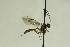  ( - CollHH912)  @12 [ ] Creative Commons  Attribution Non-Commercial Share-Alike (2018) Hakon Haraldseide Unspecified