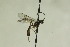 ( - CollHH914)  @12 [ ] Creative Commons  Attribution Non-Commercial Share-Alike (2018) Hakon Haraldseide Unspecified