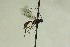  ( - CollHH915)  @12 [ ] Creative Commons  Attribution Non-Commercial Share-Alike (2018) Hakon Haraldseide Unspecified