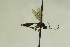  ( - CollHH919)  @12 [ ] Creative Commons  Attribution Non-Commercial Share-Alike (2018) Hakon Haraldseide Unspecified