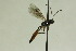  ( - CollHH924)  @13 [ ] Creative Commons  Attribution Non-Commercial Share-Alike (2018) Hakon Haraldseide Unspecified