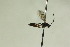 ( - CollHH931)  @12 [ ] Creative Commons  Attribution Non-Commercial Share-Alike (2018) Hakon Haraldseide Unspecified