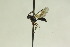  ( - CollHH974)  @13 [ ] Creative Commons  Attribution Non-Commercial Share-Alike (2018) Hakon Haraldseide Unspecified