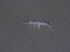  ( - 11469E01_JavaNK42)  @11 [ ] CreativeCommons - Attribution Non-Commercial Share-Alike (2011) Louis Deharveng Unspecified