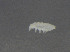  ( - 11468D12_RU04MPecl50)  @11 [ ] CreativeCommons - Attribution Non-Commercial Share-Alike (2011) Louis Deharveng Unspecified