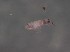  ( - 06141G03_MDS1121)  @12 [ ] Unspecified (default): All Rights Reserved  Unspecified Unspecified