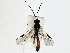 ( - BIOUG85477-H03)  @11 [ ] CreativeCommons - Attribution (2022) CBG Photography Group Centre for Biodiversity Genomics