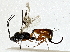  ( - BIOUG85477-H04)  @11 [ ] CreativeCommons - Attribution (2022) CBG Photography Group Centre for Biodiversity Genomics