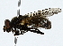  ( - BIOUG91353-F08)  @11 [ ] CreativeCommons - Attribution (2022) CBG Photography Group Centre for Biodiversity Genomics