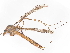  ( - BIOUG91353-H03)  @11 [ ] CreativeCommons - Attribution Non-Commercial Share-Alike (2022) CBG Photography Group Centre for Biodiversity Genomics