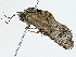  ( - BIOUG91354-E04)  @11 [ ] CreativeCommons - Attribution (2022) CBG Photography Group Centre for Biodiversity Genomics