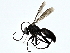  ( - BIOUG91355-F08)  @11 [ ] CreativeCommons - Attribution (2022) CBG Photography Group Centre for Biodiversity Genomics