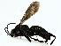  ( - BIOUG91355-H04)  @11 [ ] CreativeCommons - Attribution (2022) CBG Photography Group Centre for Biodiversity Genomics