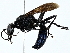  ( - BIOUG91357-A09)  @11 [ ] CreativeCommons - Attribution (2022) CBG Photography Group Centre for Biodiversity Genomics