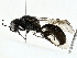  ( - BIOUG91357-C01)  @11 [ ] CreativeCommons - Attribution (2022) CBG Photography Group Centre for Biodiversity Genomics
