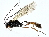  ( - BIOUG91357-C05)  @11 [ ] CreativeCommons - Attribution (2022) CBG Photography Group Centre for Biodiversity Genomics