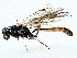  ( - BIOUG91357-G06)  @11 [ ] CreativeCommons - Attribution (2022) CBG Photography Group Centre for Biodiversity Genomics