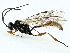  ( - BIOUG91357-G07)  @11 [ ] CreativeCommons - Attribution (2022) CBG Photography Group Centre for Biodiversity Genomics