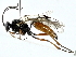  ( - BIOUG91358-A11)  @11 [ ] CreativeCommons - Attribution (2022) CBG Photography Group Centre for Biodiversity Genomics