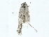  ( - BIOUG91359-C11)  @11 [ ] CreativeCommons - Attribution (2022) CBG Photography Group Centre for Biodiversity Genomics