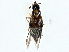  ( - BIOUG97729-B04)  @11 [ ] CreativeCommons - Attribution (2023) CBG Photography Group Centre for Biodiversity Genomics